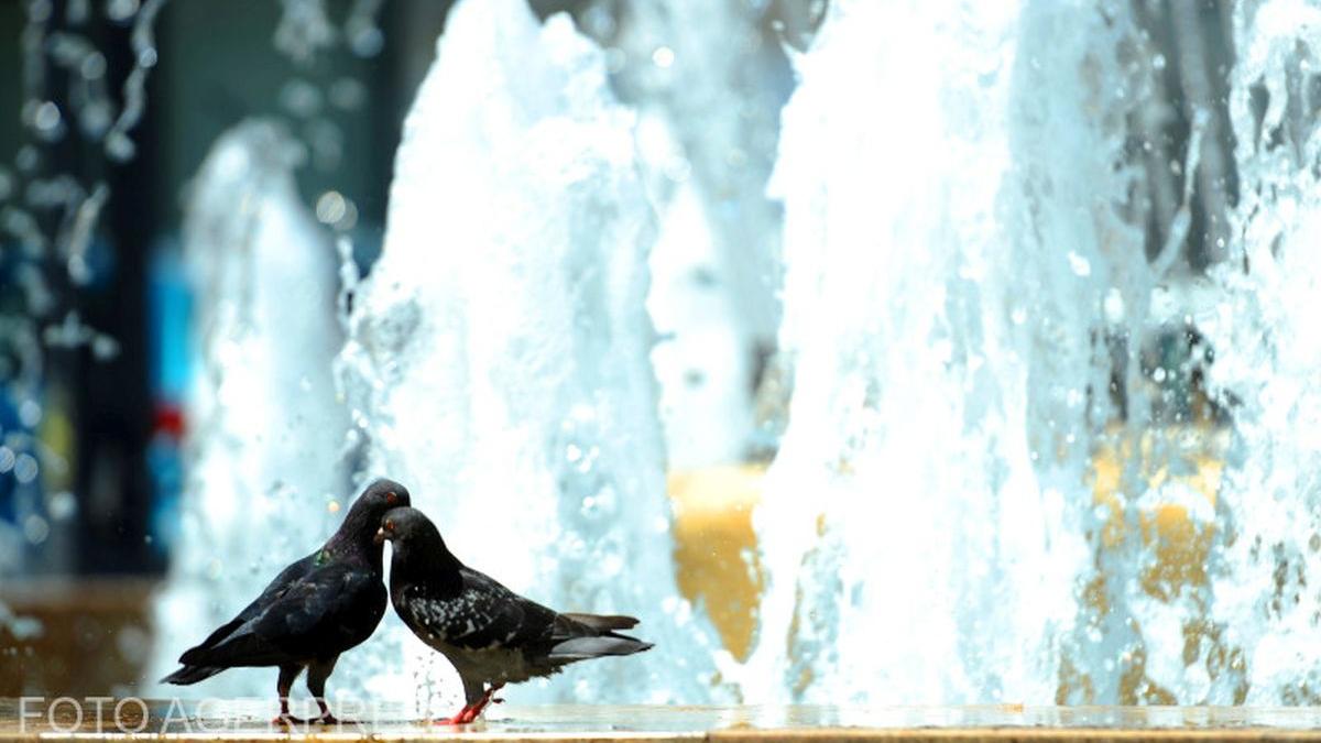 cod galben cod portocaliu canicula vijelii ploi grindina meteo