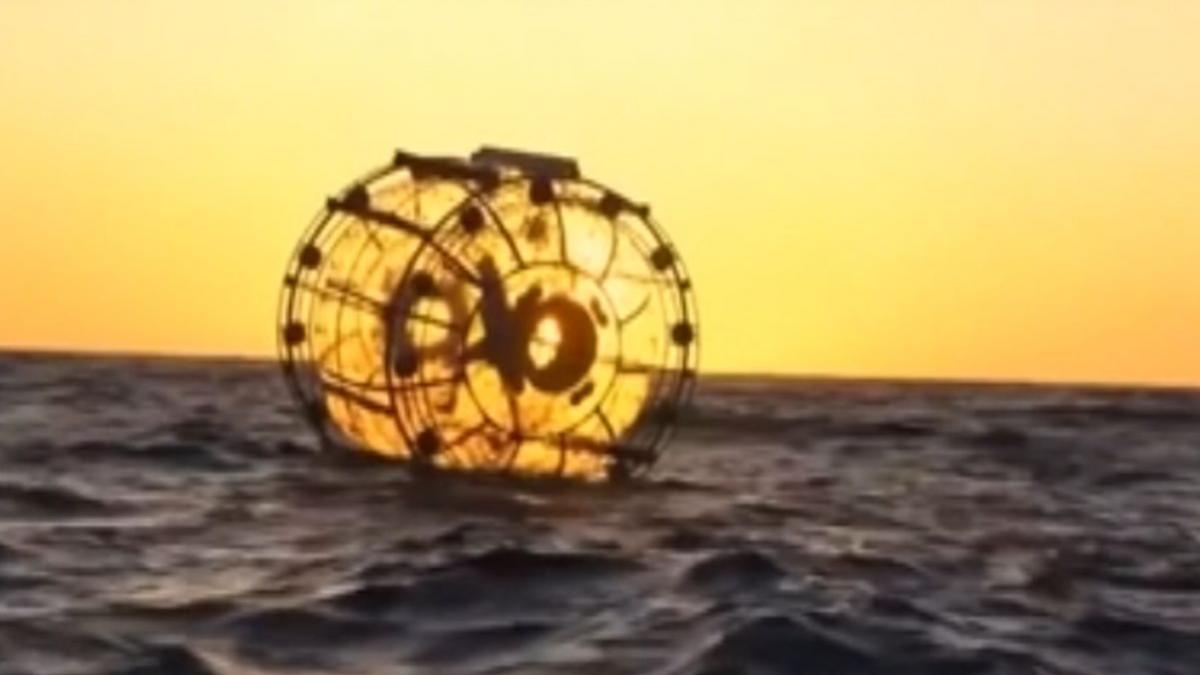 ray reza baluchi hamster florida new york garda de coasta iran