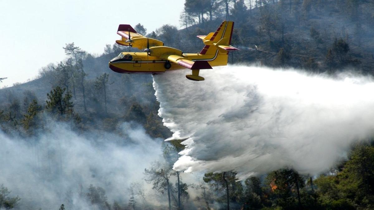 incendiile de vegetat ie se apropie de t ara noastra bulgaria arde 60 de hectare de pa dure sunt