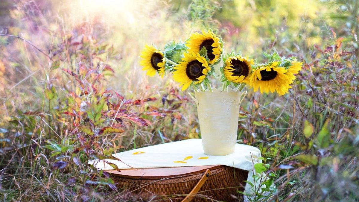 top 5 buchete de flori pe care le poti darui vara asta