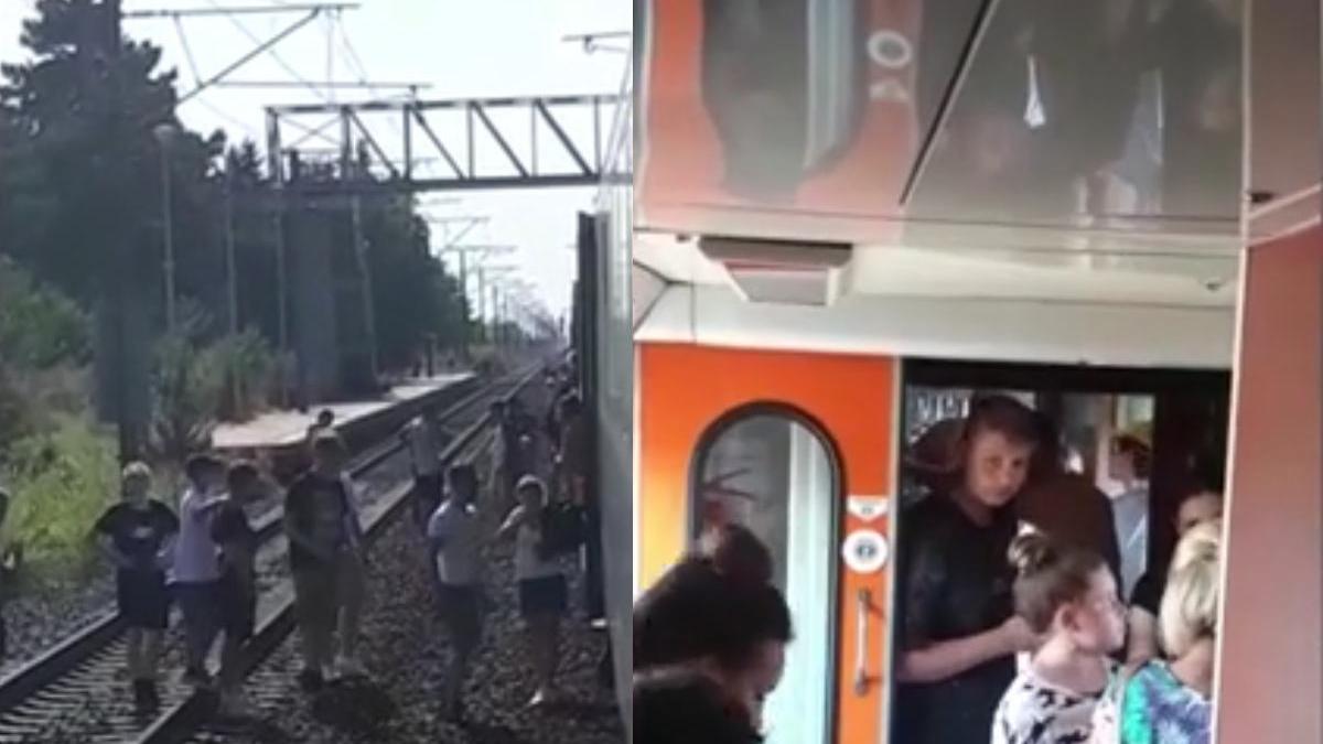 tren blocat 9 ore ramas fara frane padure