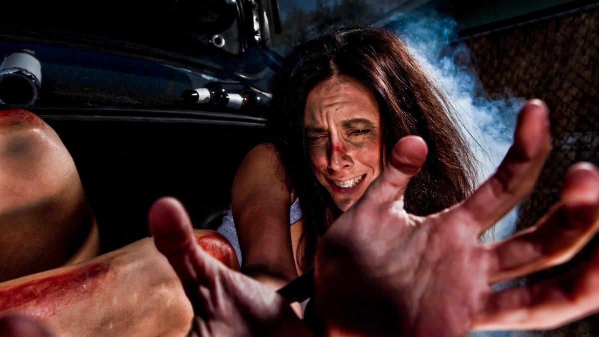 o femeie din anglia a simtit ca viata i a fost distrusa dupa ce a fost violata de doi romani simt