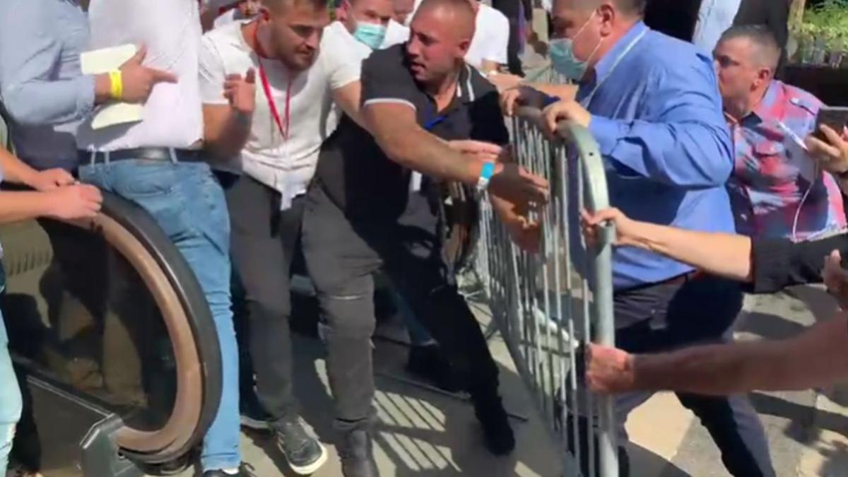 alin nica ovidiu chira alegeri pnl timisoara