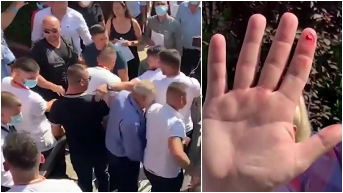 bataie generala alegeri interne pnl timisoara