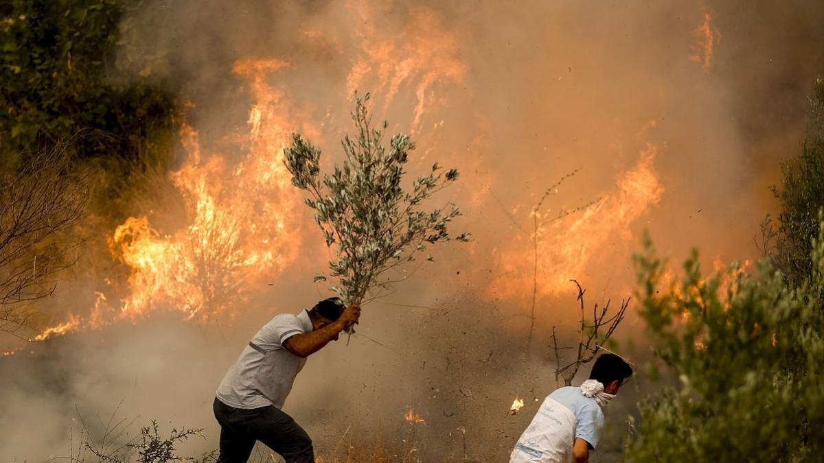 incendii vegetatie turcia italia sicilia cuplu casatorit