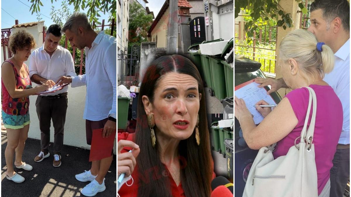 psd semnaturi demitere clotilde armand