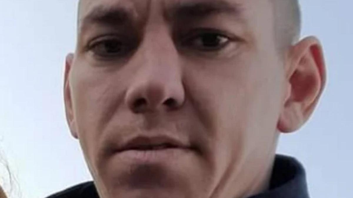 roman disparut intoarcere franta mama apel disperat