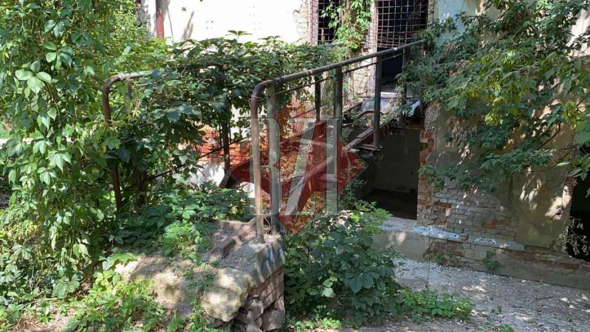 tanar spanzurat iasi