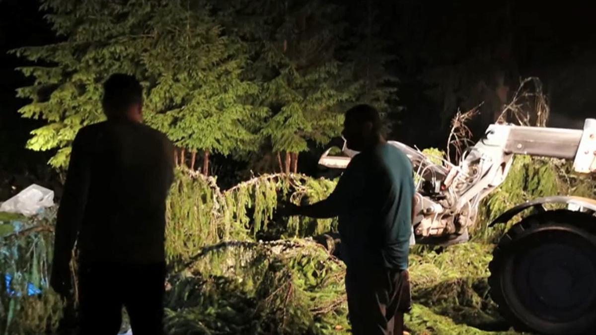 povestea cumplita copila de 6 ani strivita de un copac mures