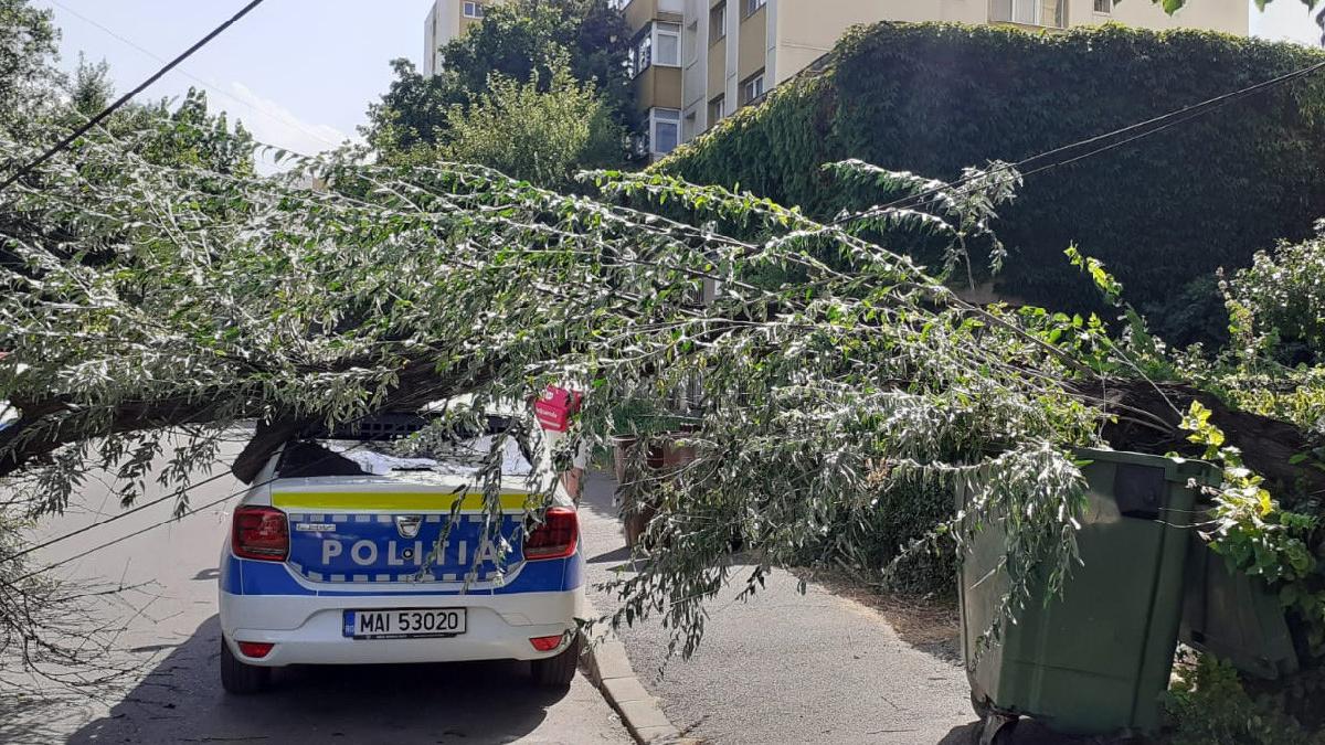 masina de politie strivita de un copac pe o strada din ploiesti