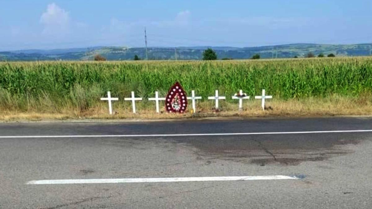 politist petitie modificare codul rutier opriti moartea de pe sosele