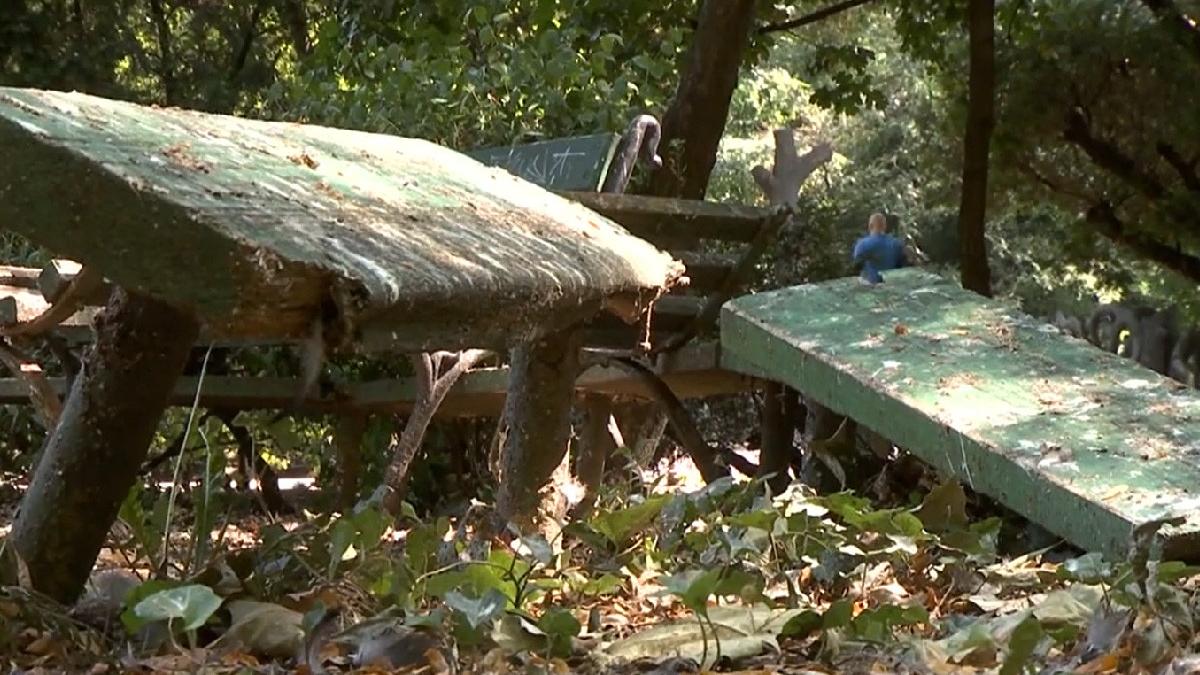 cismigiu si herastrau parcurile pentru care se cearta clotilde armand si nicusor dan