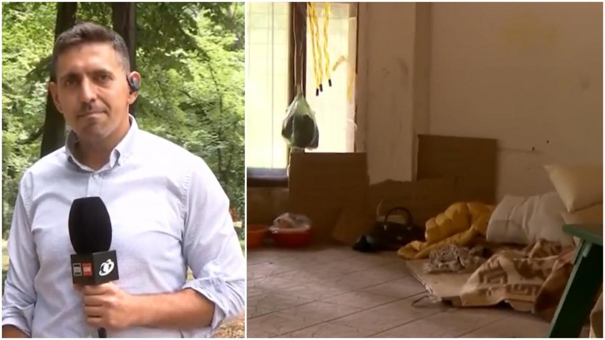 imagini parcul herastrau oamenii strazii locuinta incapere parasita surse de infectie