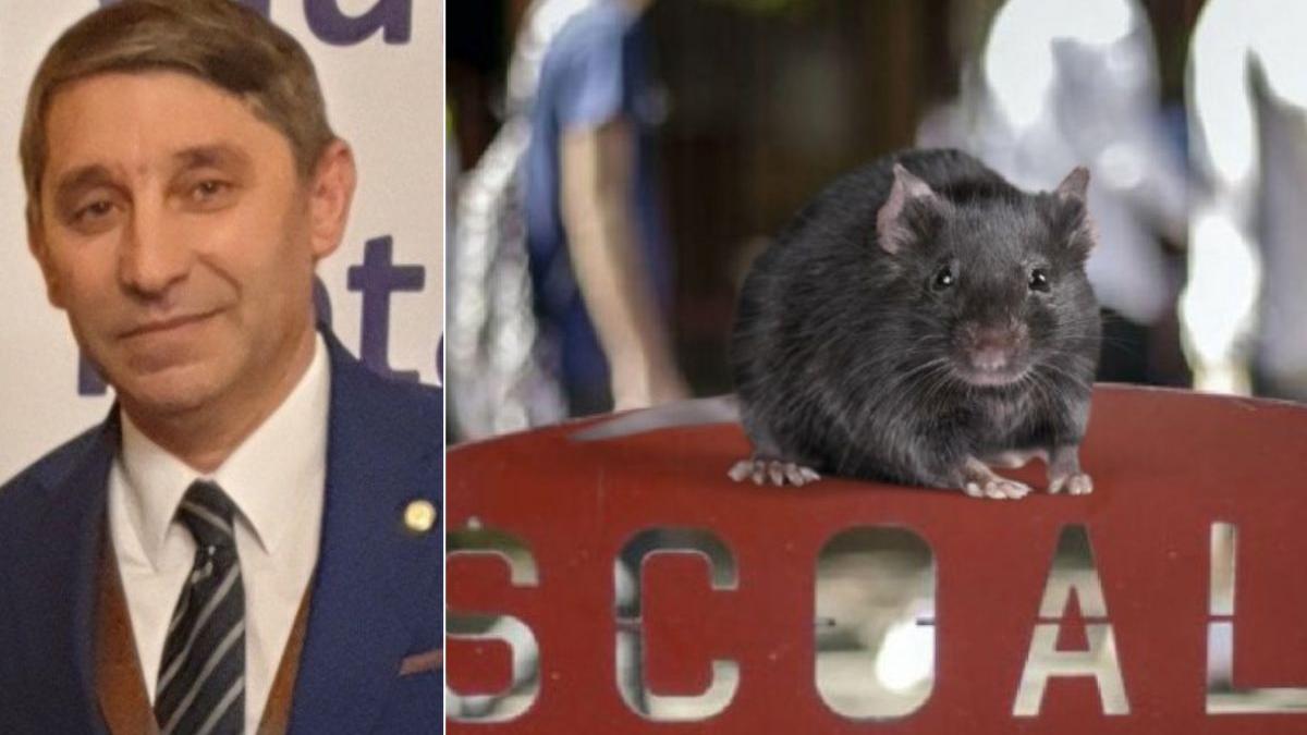 parinti profesori revolta deratizare scoli