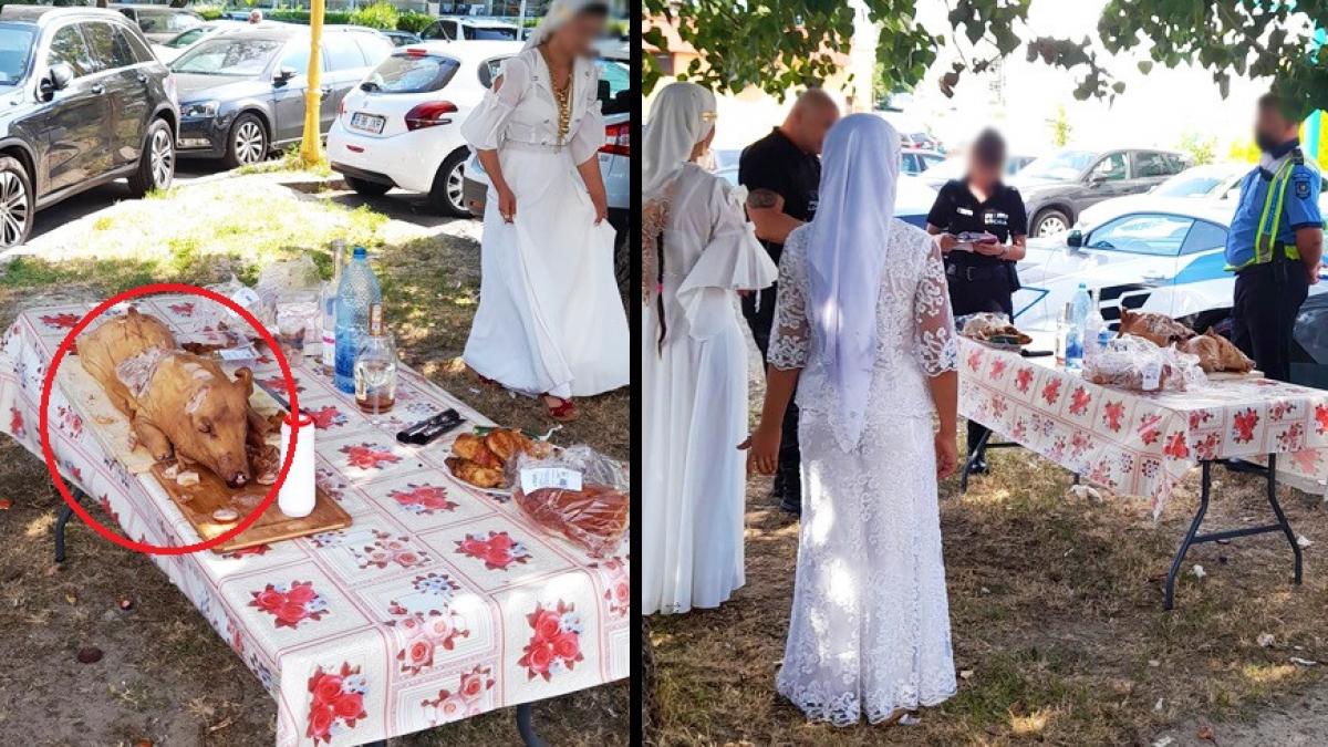 romi vacanta mamaia purcel la protap in fata hotelului
