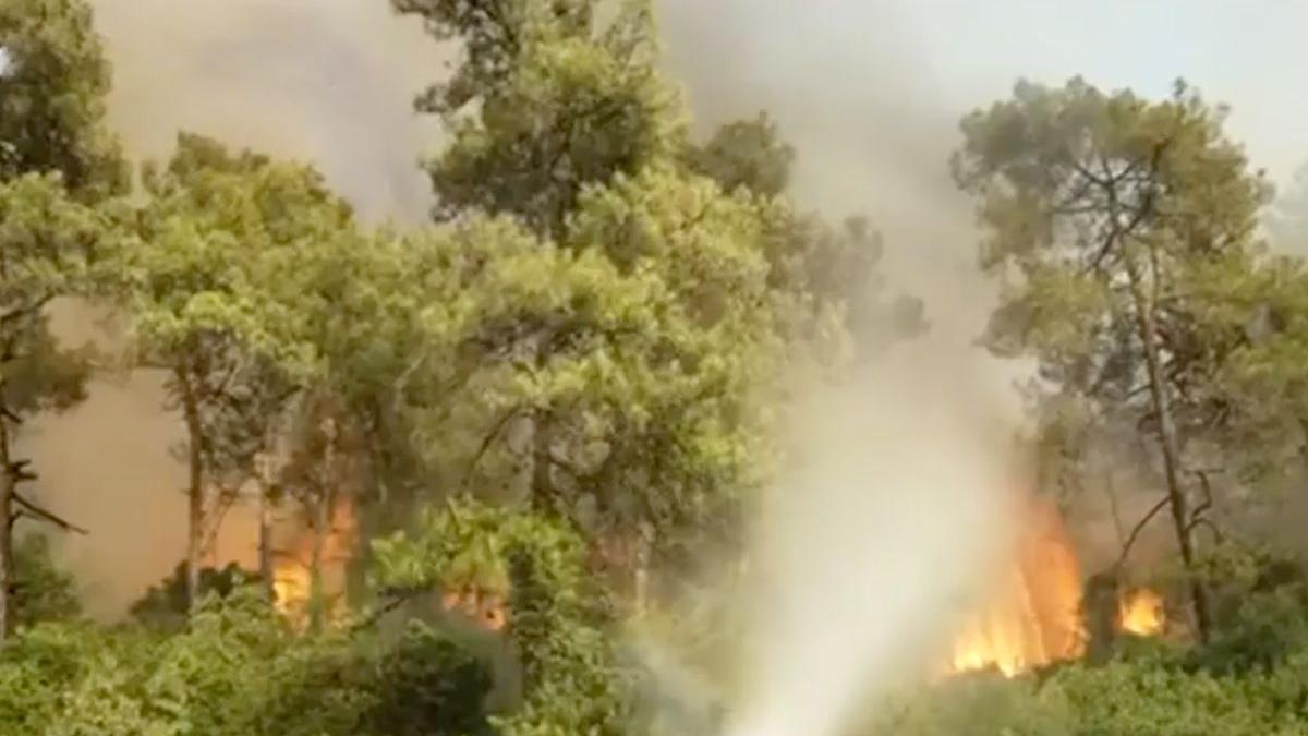 incendii vegetatie turcia