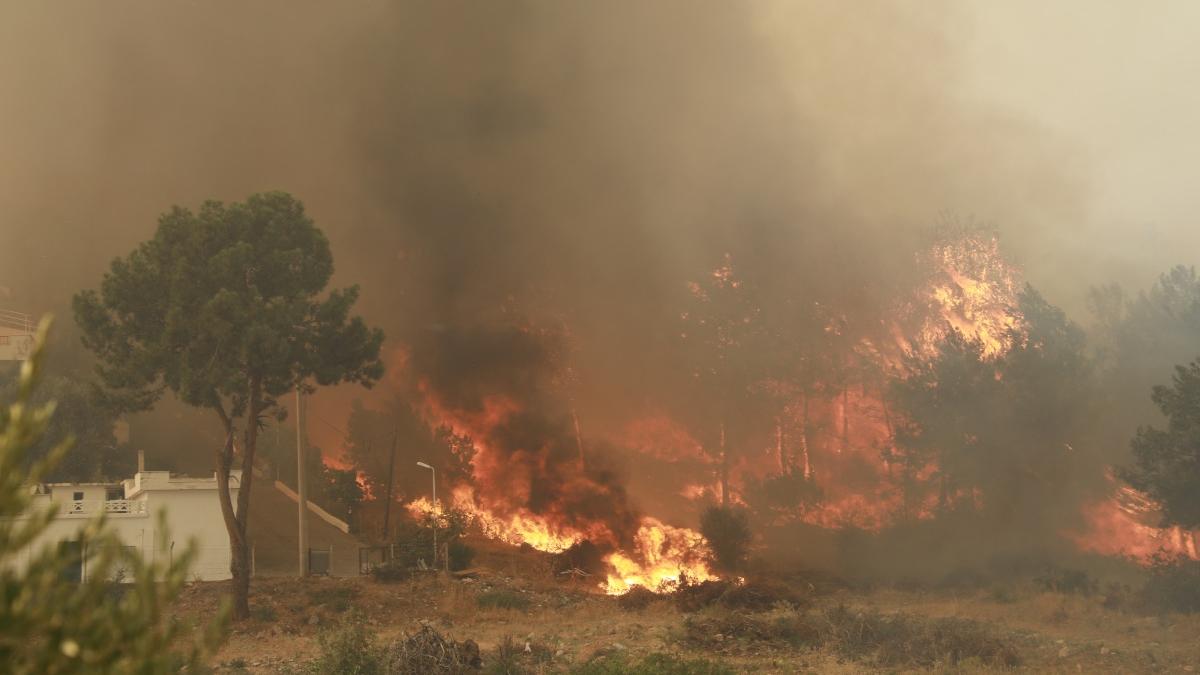 sudul italiei se cere declararea starii de urgenta din cauza incendiilor paduri