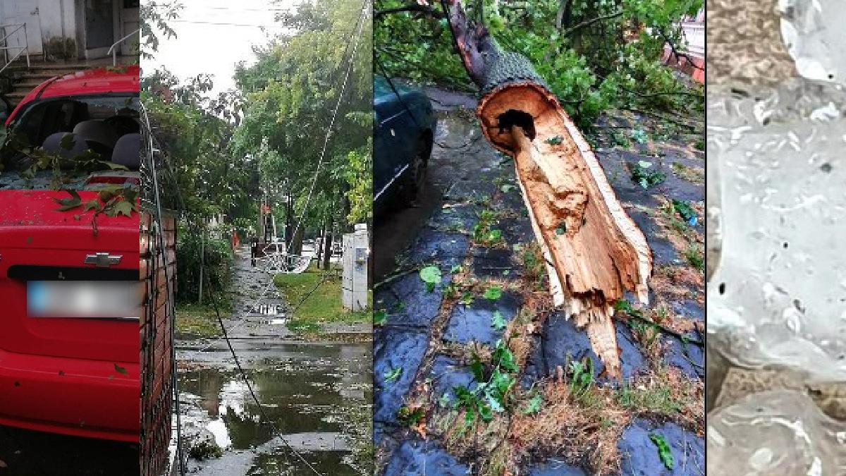 urgia naturii a facut prapad in braila autoturisme avariate copaci si cabluri eletrice rupte