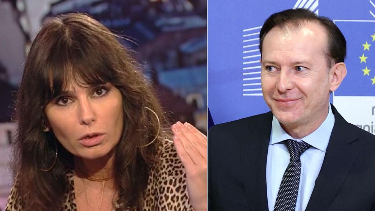 dana budeanu florin citu