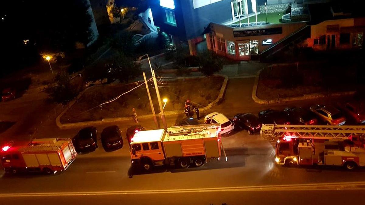 masini pompieri chemate incendiu gospodina coacere vinete