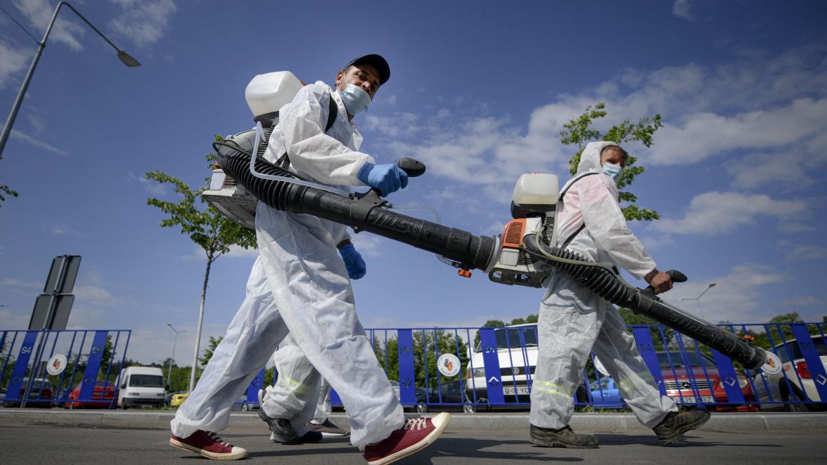 incepe deratizarea in gradinitele scolile liceele din bucuresti anunta primaria capitalei
