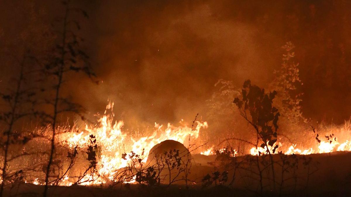 arafat romania trimitere avion spartan macedonia incendii padure