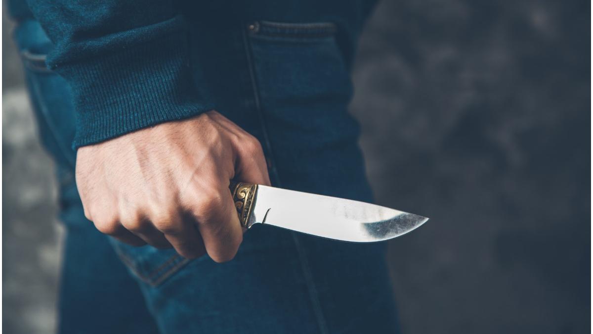 barbat atac cutit tren tokyo