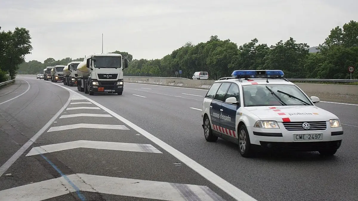 doi soferi de tir din romania sunt judecati pentru contrabanda cu arme de foc mai multe pistoale au