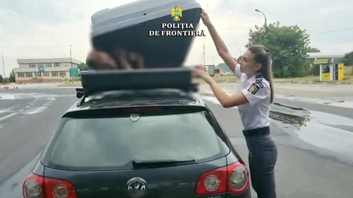 sirian ascuns portbagaj vama giurgiu