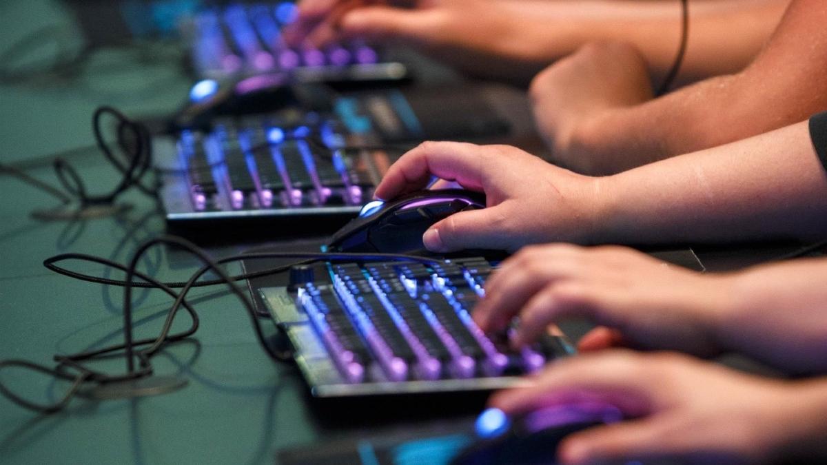 tanar barlad condamnat evaziune a vandut arme virtuale loc online