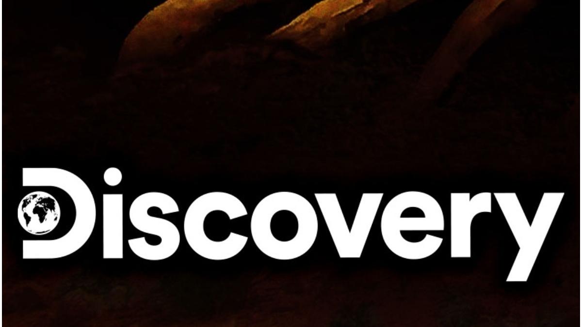 discovery proces polonia libertatea presei discovery proces polonia libertatea presei