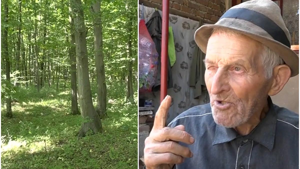 padure bantuita hunedoara blestem spirite