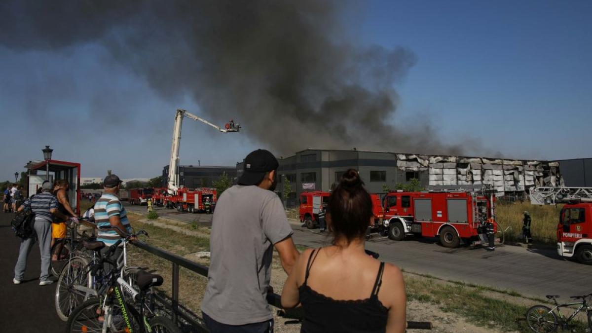 incendiu violent la o hala din mogosoaia ilfov