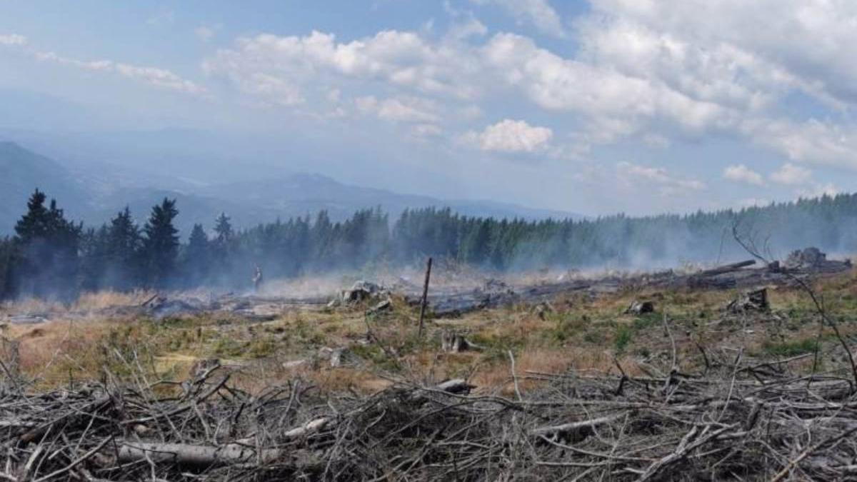 incendiu vegetatie izbucnit muntii sureanu peste patru hectare teren afectate flacari