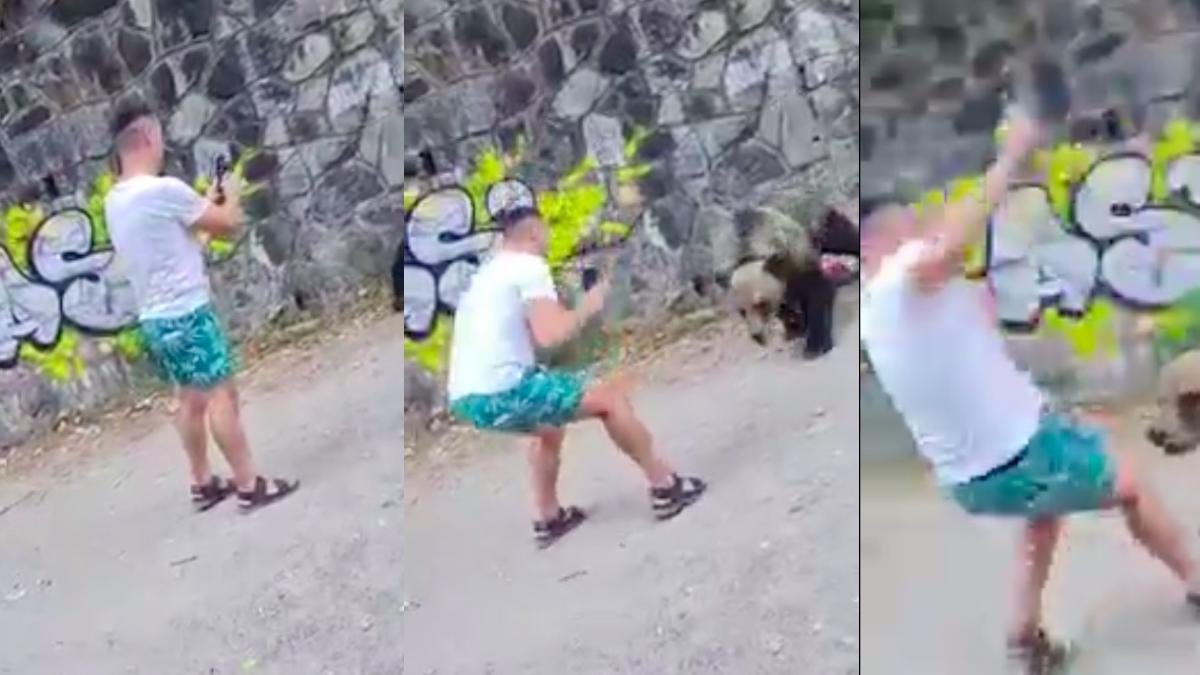 turist surprins atacat de urs la barajul vidraru s a apropiat 2 metri de animal