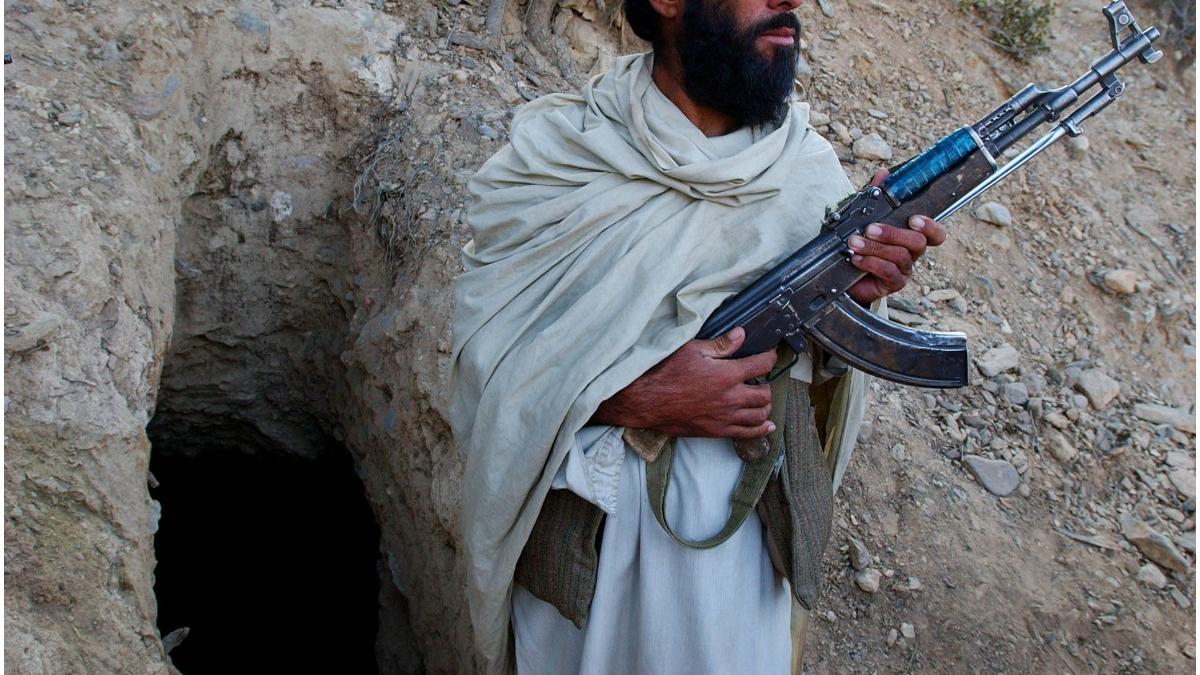 al qaeda felicitari talibani