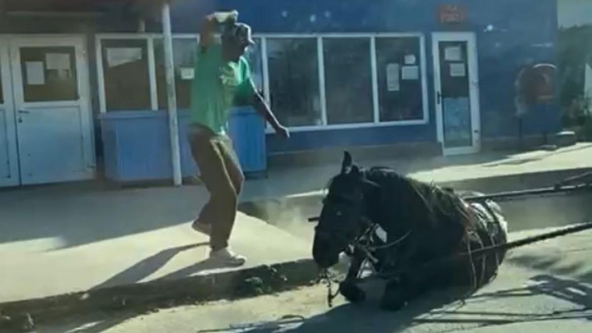 barbat dolj batut calul nu mai tragea caruta ghidici