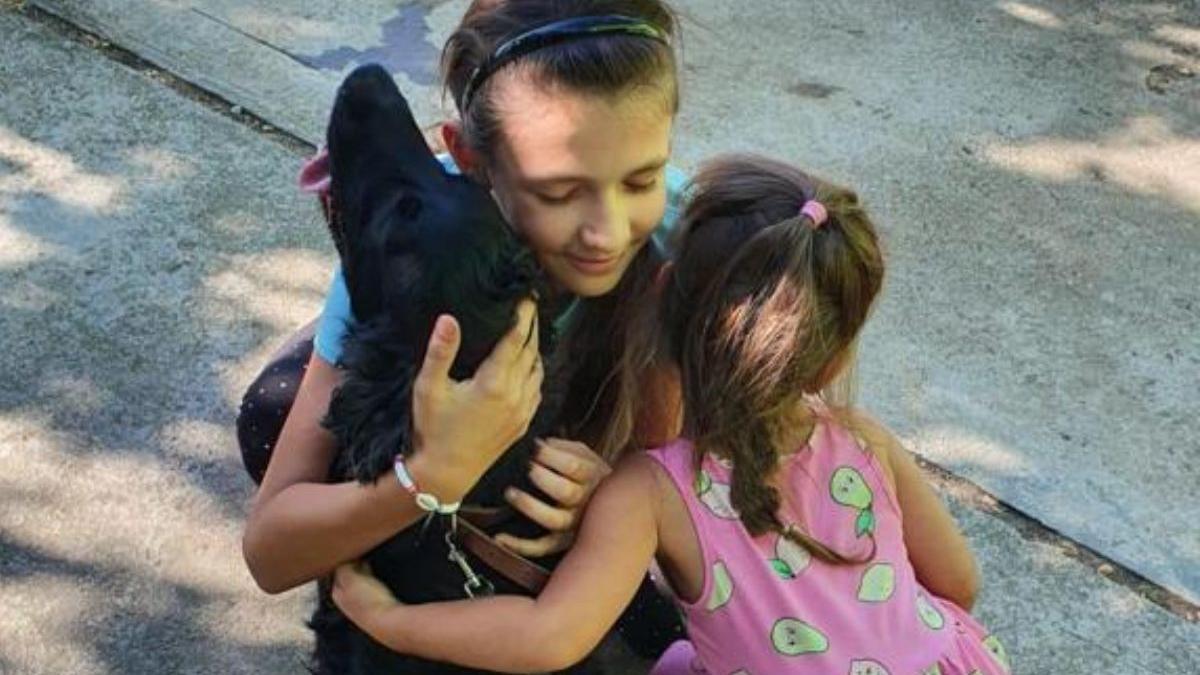 catel disparut un an arad intors acasa