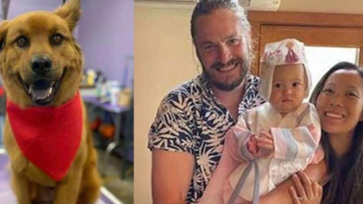 doi soit fiica un an cainele familiei morti parc alge