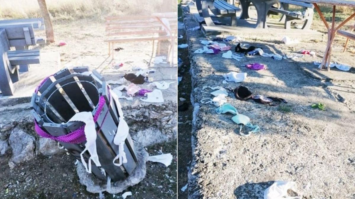 mister total zeci de sutiene parcare dn 58 caras severin