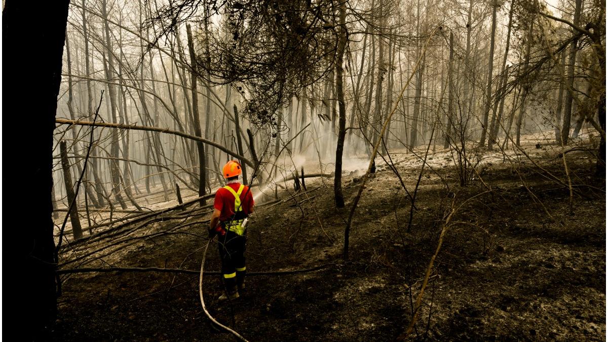 incendiu attica grecia pompieri romani