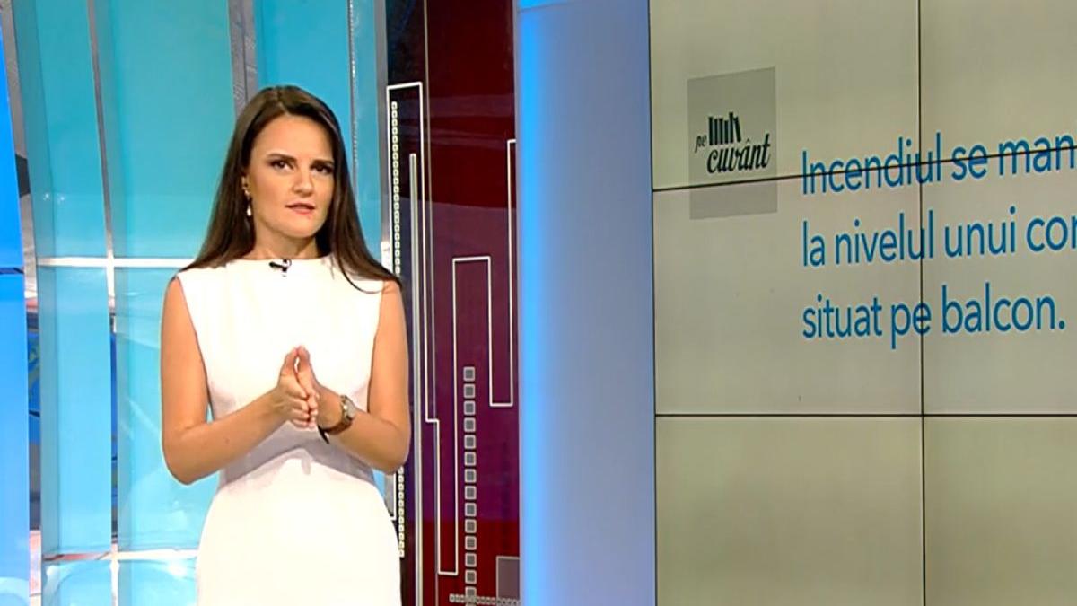 limbajul de specialitate folosit in presa