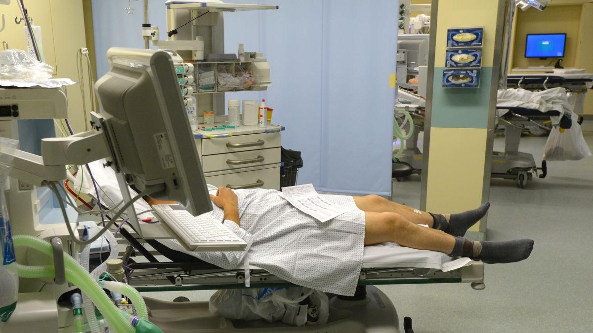 barbat infectat tulpina delta arad a murit