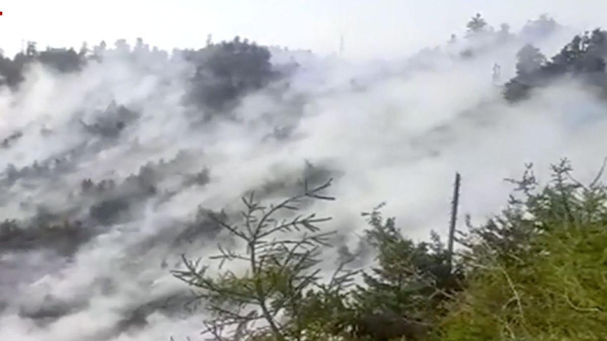 incendiu padure muntii capatanii valcea 12 ore