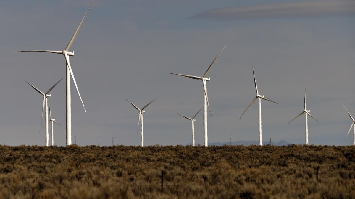 16 primarii din constanta si tulcea obligate sa restituie statului 100 de milioane de euro