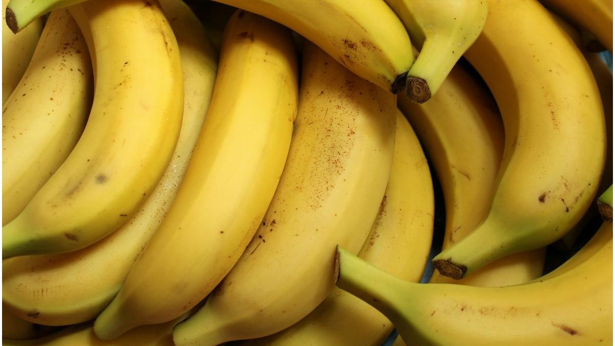 captura record cocaina transport banane muntenegru