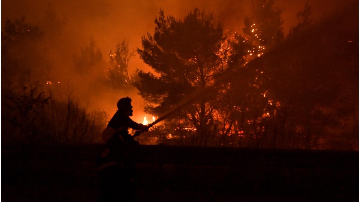 incendii grecia impact albine