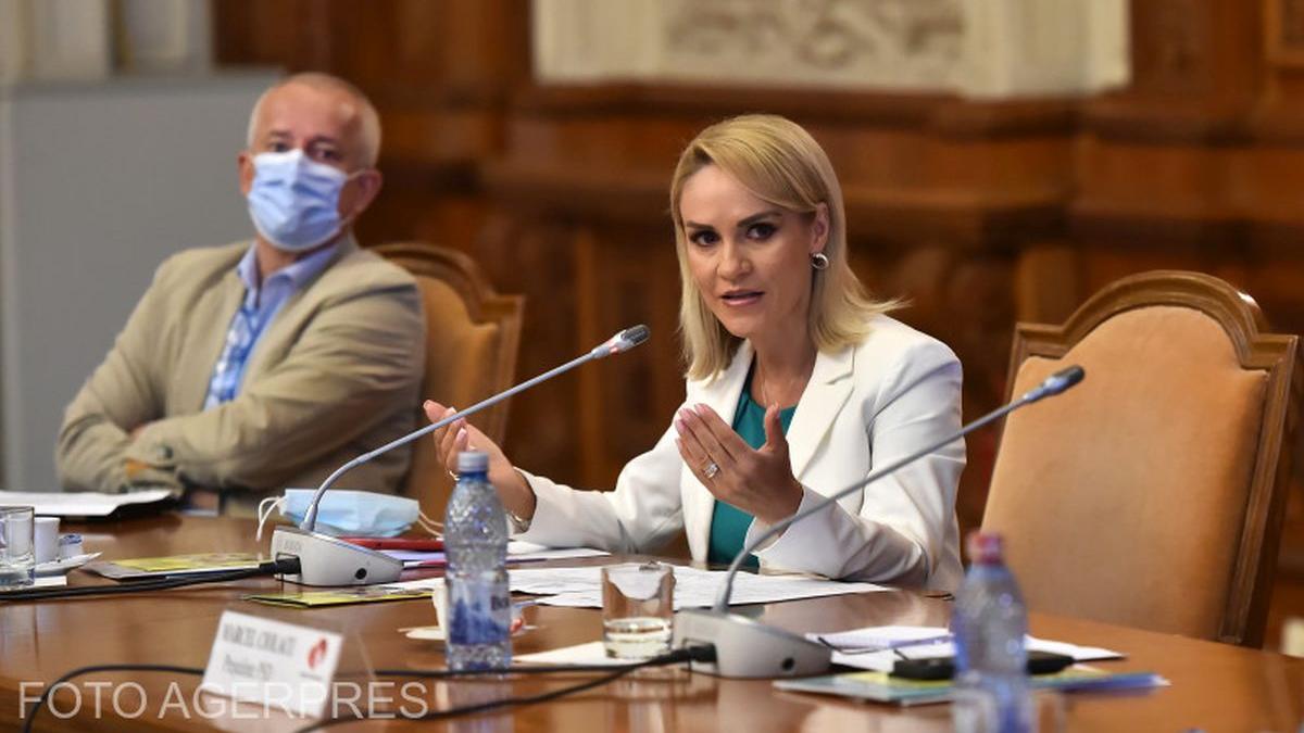 gabriela firea nicusor dan externalizare serviciu curatenie parcuri