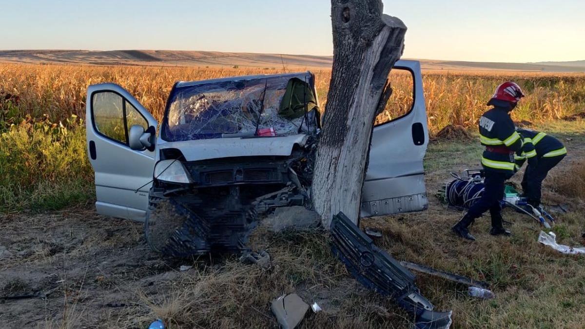 microbuz muncitori distrus copac accident padurea sarului olt