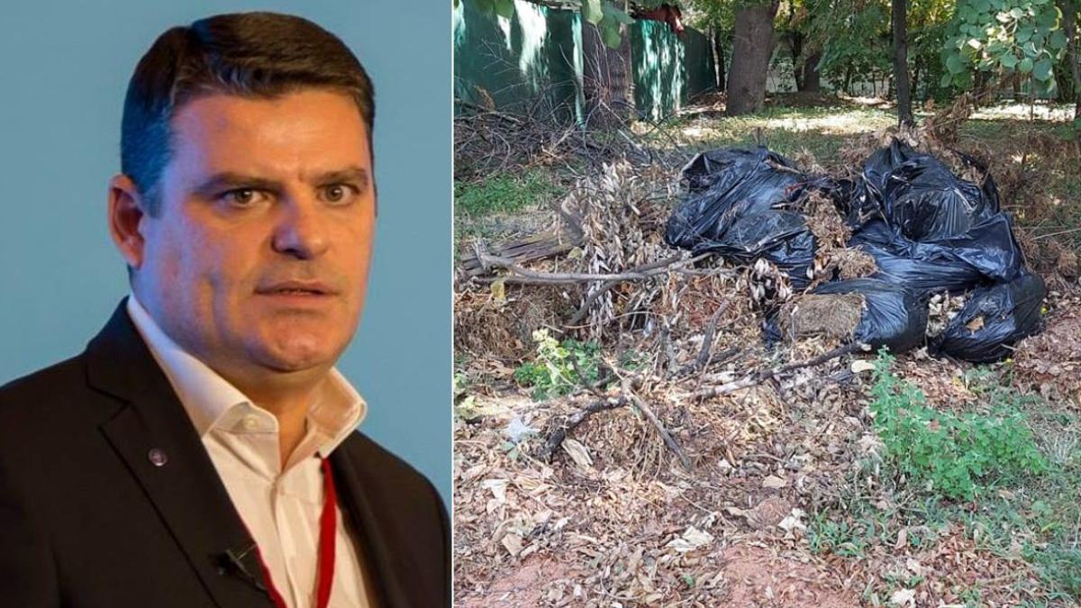 radu tudor nicusor dan parc herastrau